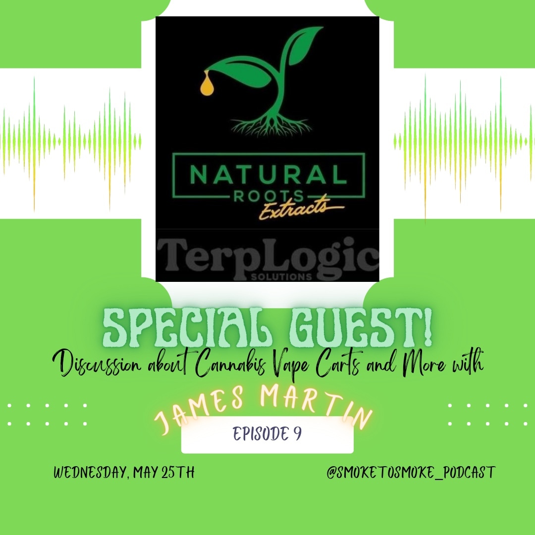 Put Your Thinking Vapes On: An Interview with James Martin, Owner of TerpLogic Solutions [Episode 9]